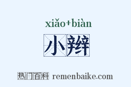 小辫是什么意思的图片